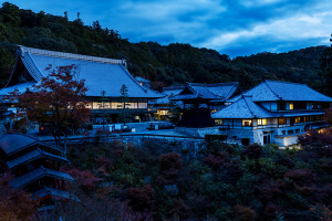 Temple Hotel 大泰寺
